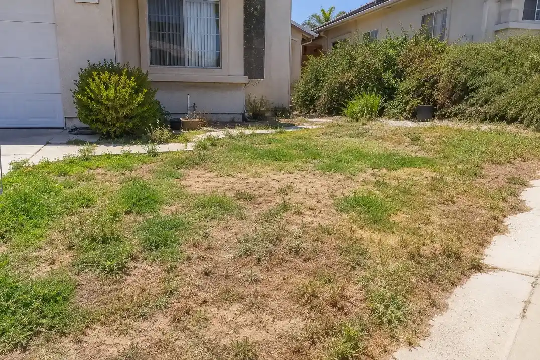 Modern xeriscape with gravel and native plants