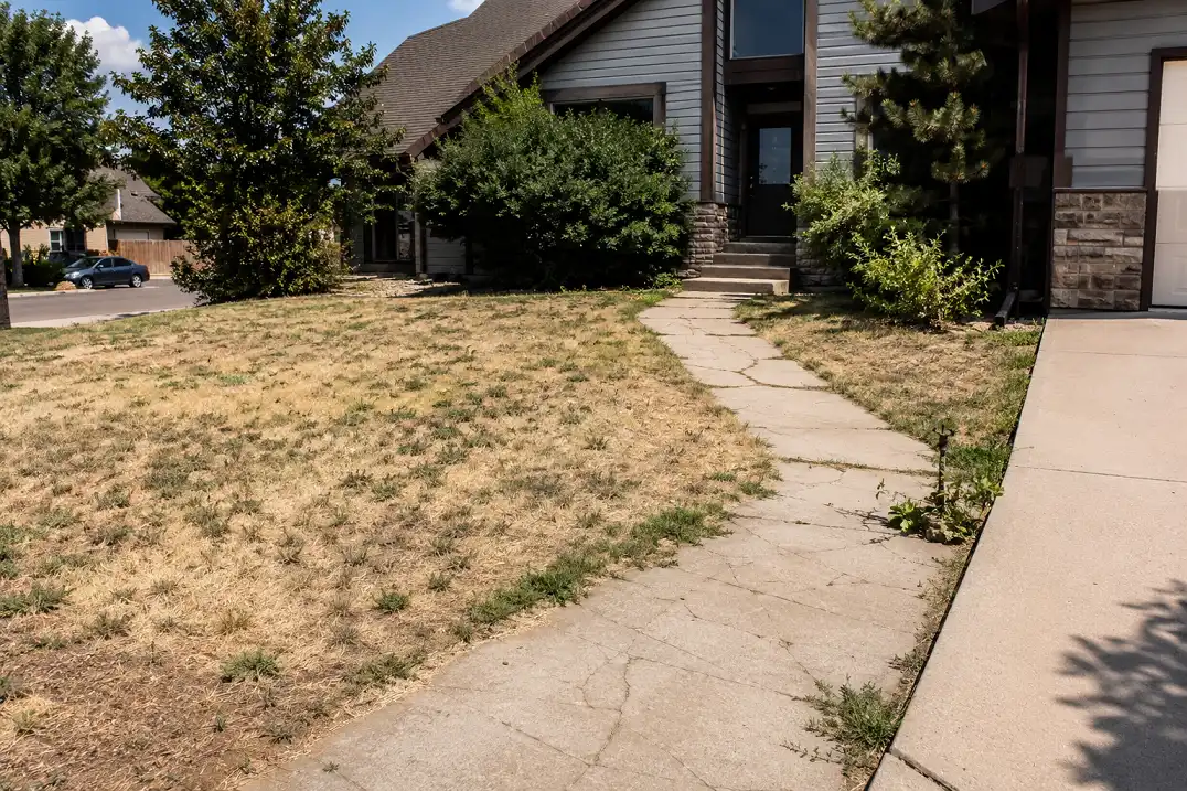 After — Xeriscape Conversion